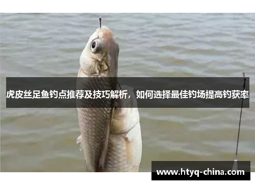 虎皮丝足鱼钓点推荐及技巧解析,如何选择最佳钓场提高钓获率