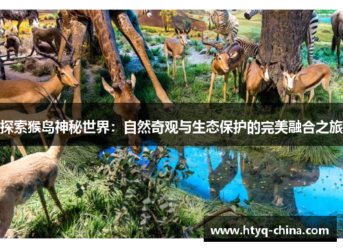 探索猴岛神秘世界：自然奇观与生态保护的完美融合之旅
