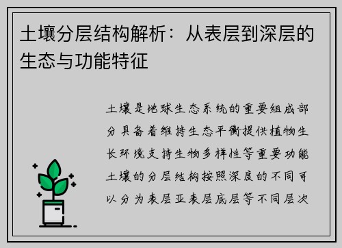 土壤分层结构解析：从表层到深层的生态与功能特征